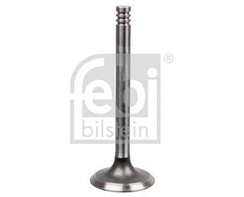Intake Valve
